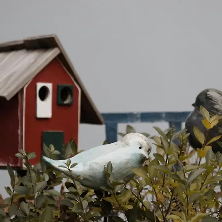 Ister בית נופש *