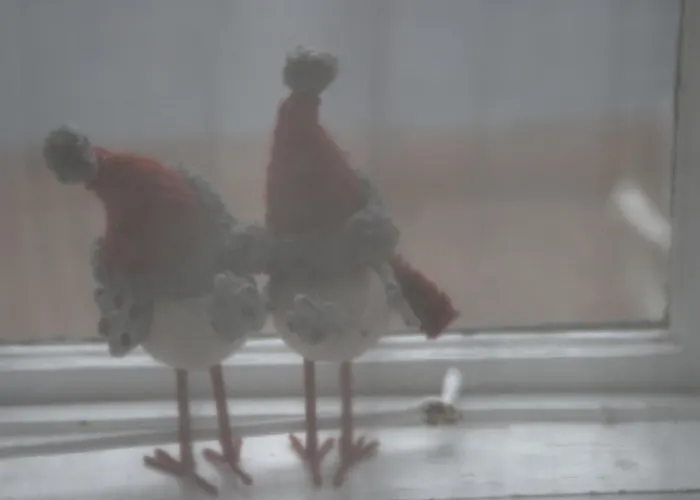 Ister Holiday home Esztergom