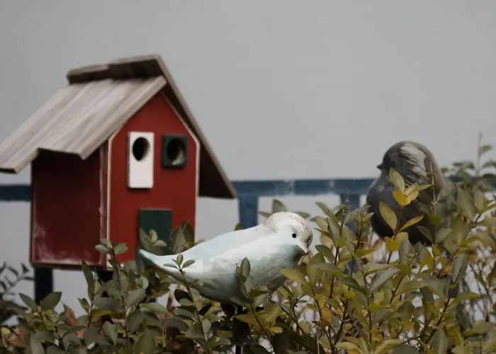 Ister Holiday home *